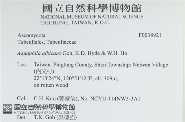 登錄號:F0038921藏品圖，第2張