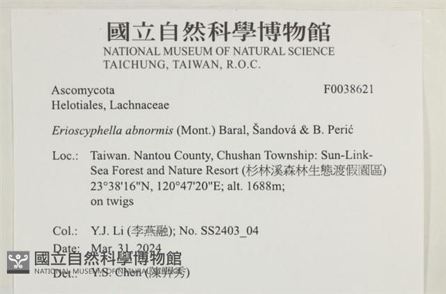 登錄號:F0038621藏品圖，第2張