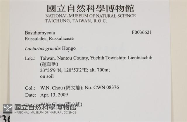 登錄號:F0036621藏品圖，第2張