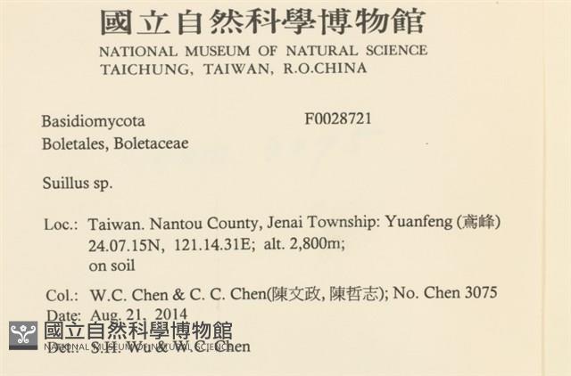 登錄號:F0028721藏品圖，第2張