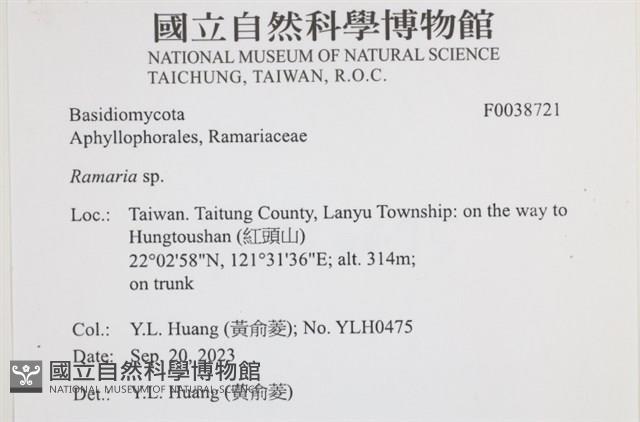 登錄號:F0038721藏品圖，第2張