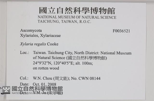 登錄號:F0036521藏品圖，第2張