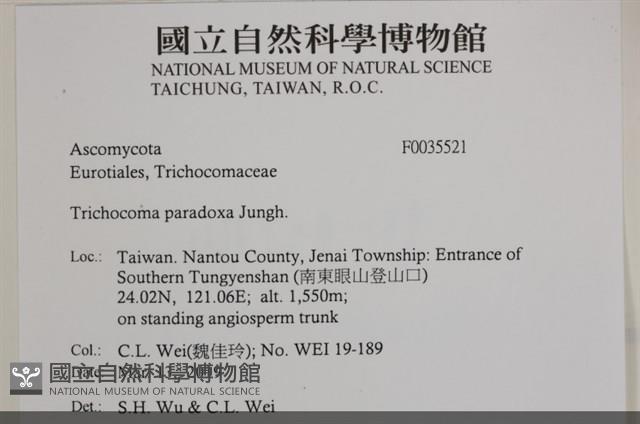 登錄號:F0035521藏品圖，第2張