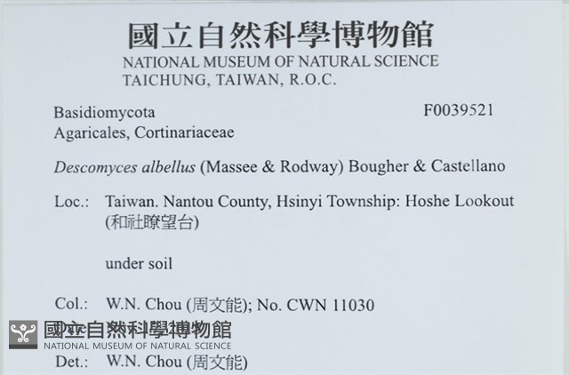 登錄號:F0039521藏品圖，第2張