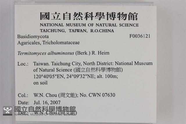 登錄號:F0036121藏品圖，第2張
