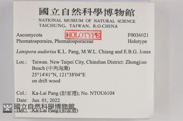 登錄號:F0036021藏品圖，第2張