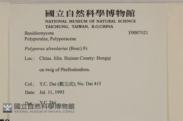 登錄號:F0007021藏品圖，第4張