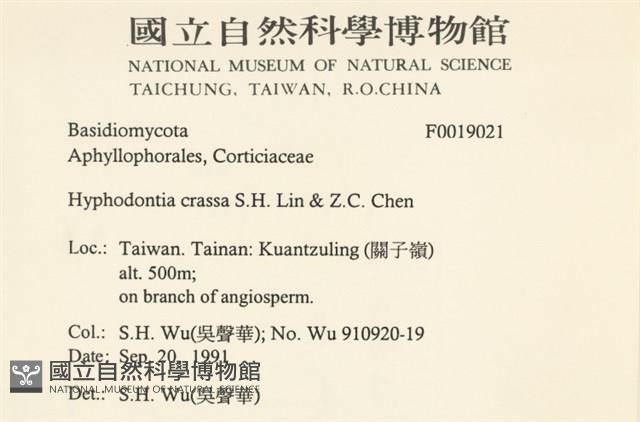 登錄號:F0019021藏品圖，第2張