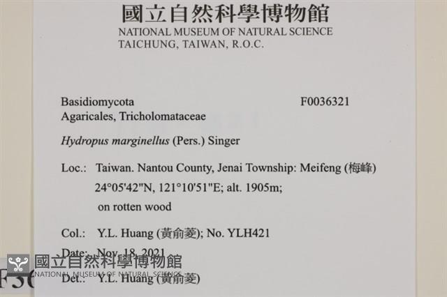 登錄號:F0036321藏品圖，第2張