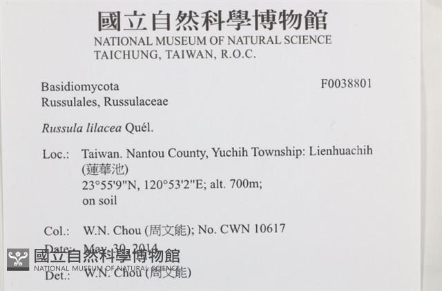 登錄號:F0038801藏品圖，第2張