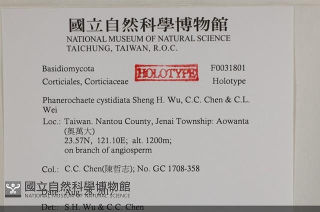 登錄號:F0031801藏品圖，第3張
