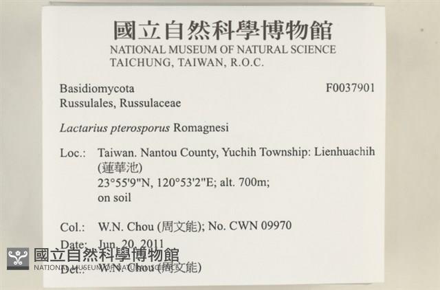 登錄號:F0037901藏品圖，第2張