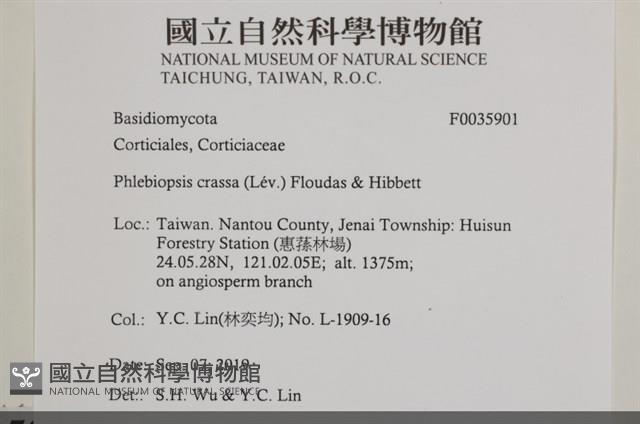 登錄號:F0035901藏品圖，第2張