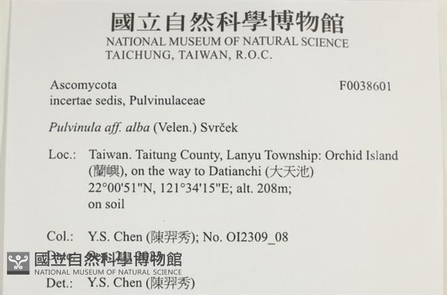 登錄號:F0038601藏品圖，第2張