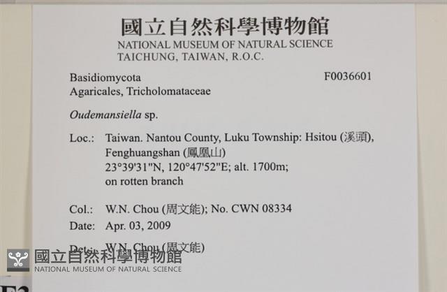 登錄號:F0036601藏品圖，第2張