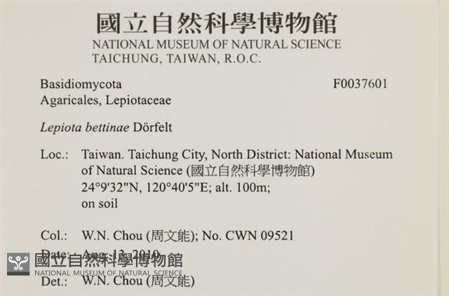 登錄號:F0037601藏品圖，第2張