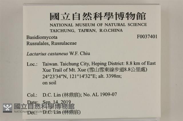 登錄號:F0037401藏品圖，第2張