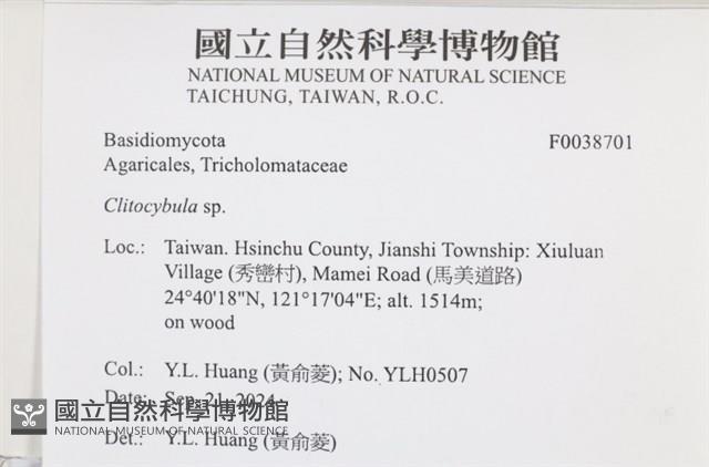 登錄號:F0038701藏品圖，第2張