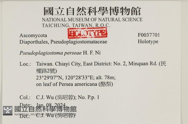登錄號:F0037701藏品圖，第3張
