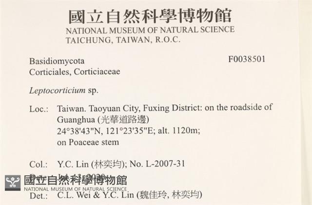 登錄號:F0038501藏品圖，第2張