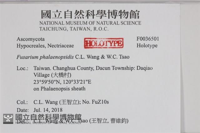 登錄號:F0036501藏品圖，第2張