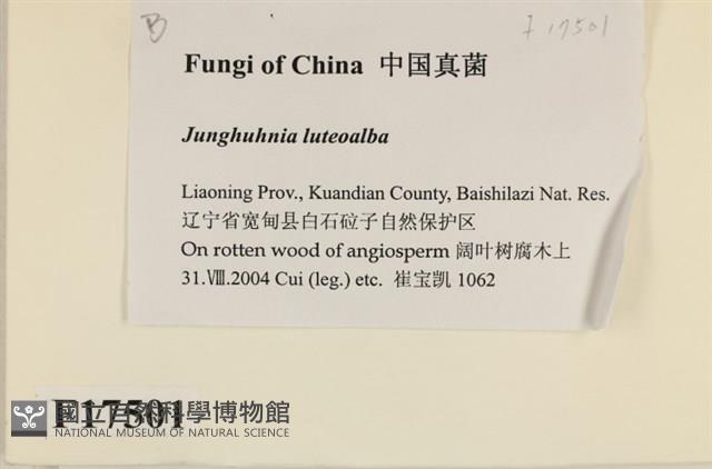 登錄號:F0017501藏品圖，第2張