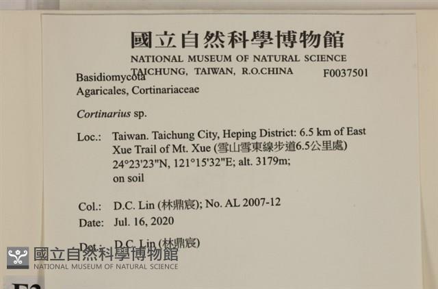 登錄號:F0037501藏品圖，第2張