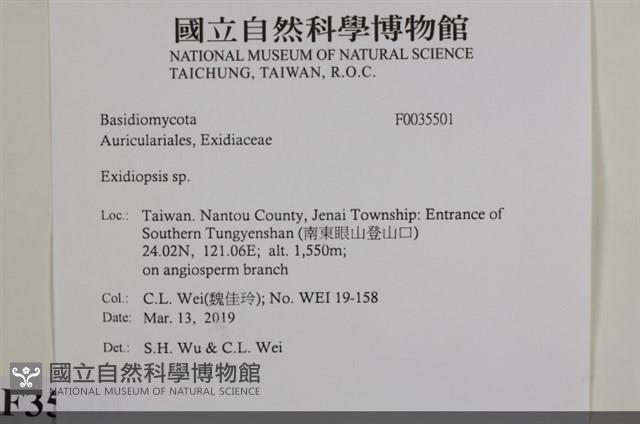館號:F0035501藏品圖，第2張
