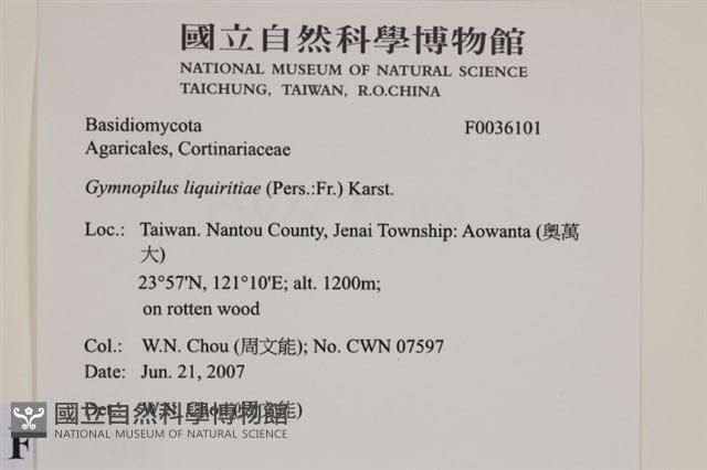 登錄號:F0036101藏品圖，第2張