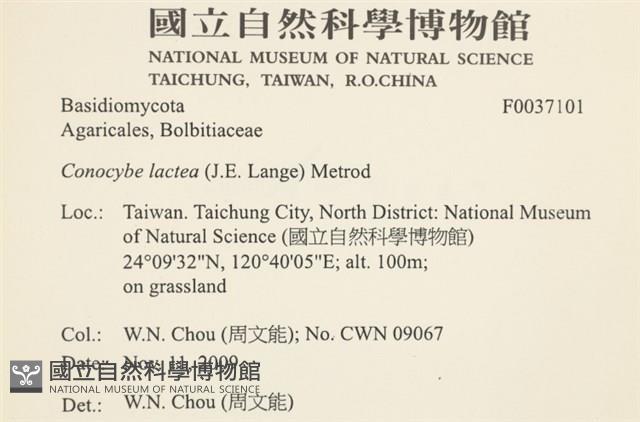 登錄號:F0037101藏品圖，第2張