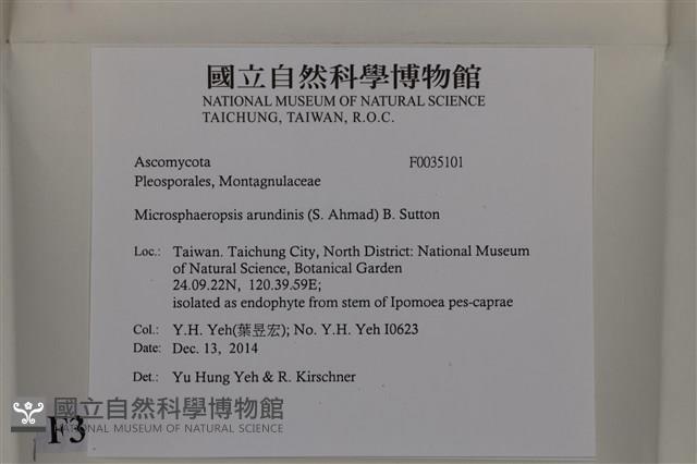 登錄號:F0035101藏品圖，第2張
