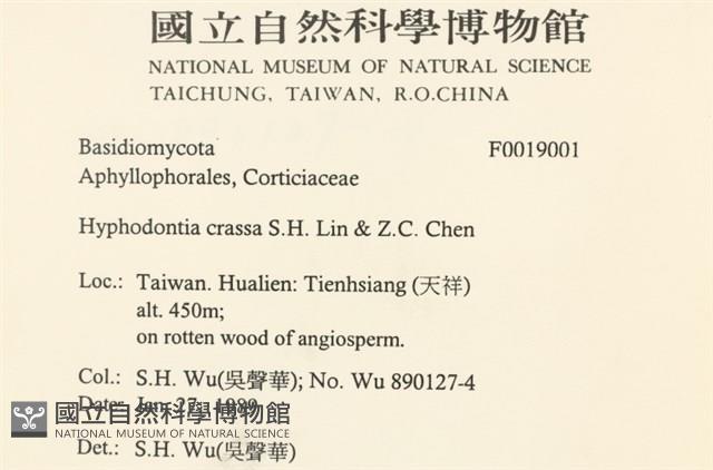 登錄號:F0019001藏品圖，第2張