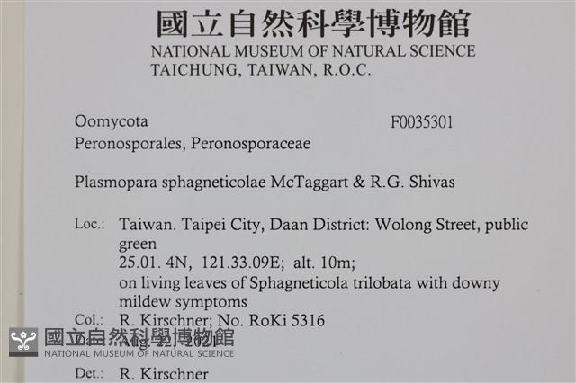 登錄號:F0035301藏品圖，第2張