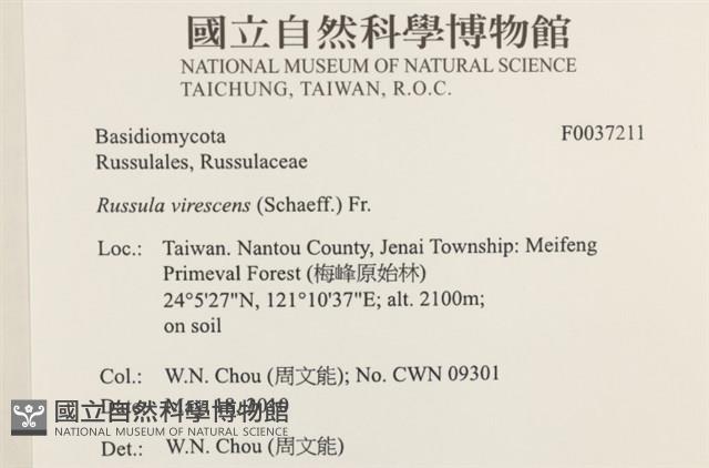 登錄號:F0037211藏品圖，第2張