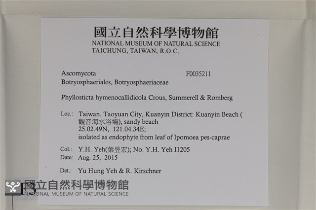 登錄號:F0035211藏品圖，第2張