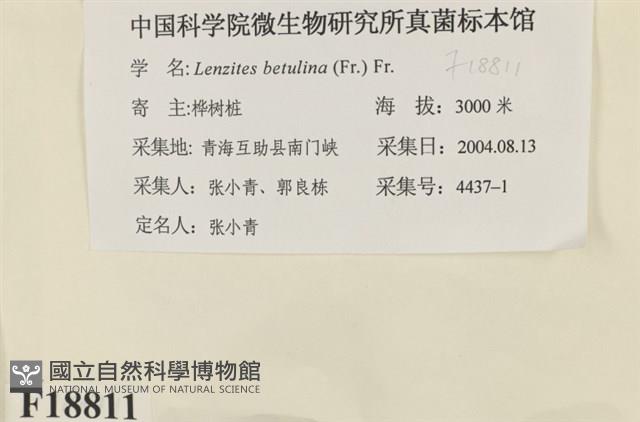 登錄號:F0018811藏品圖，第2張