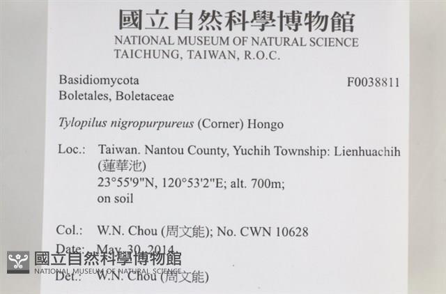 登錄號:F0038811藏品圖，第2張