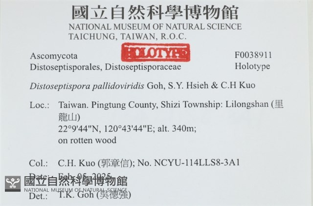 登錄號:F0038911藏品圖，第2張