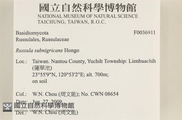 登錄號:F0036911藏品圖，第2張