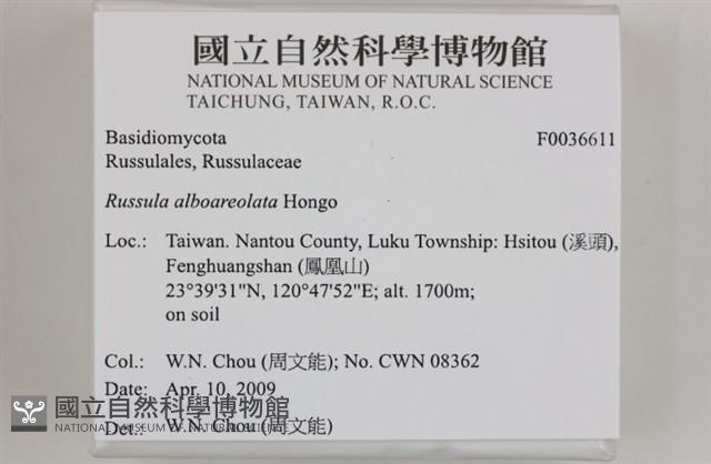 登錄號:F0036611藏品圖，第2張