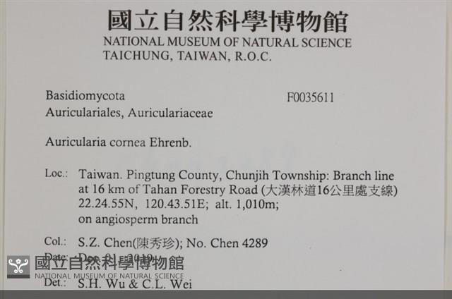 登錄號:F0035611藏品圖，第2張
