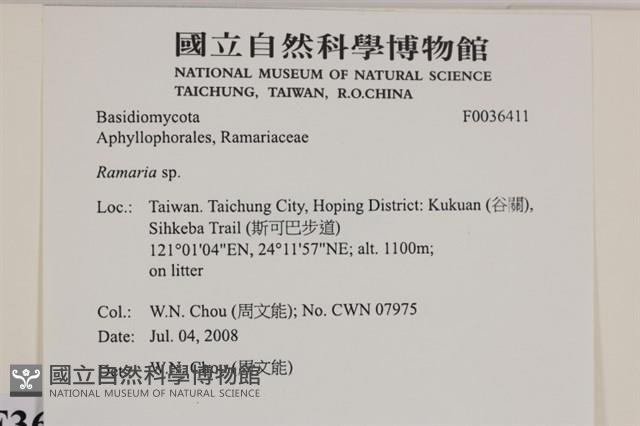 登錄號:F0036411藏品圖，第2張