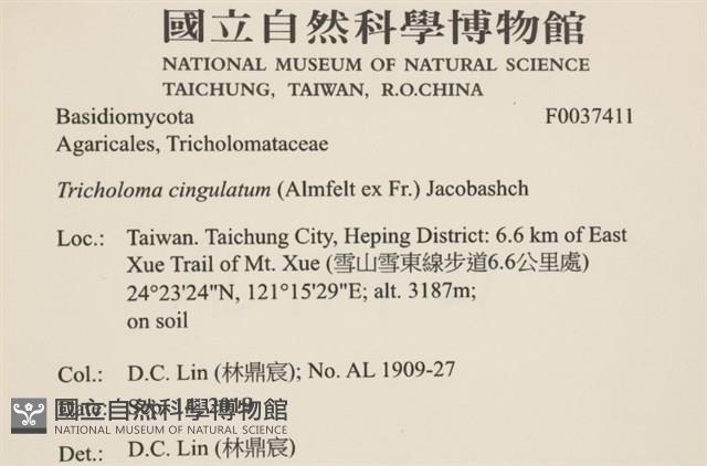 登錄號:F0037411藏品圖，第2張