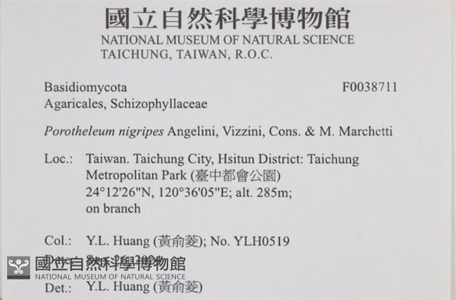 登錄號:F0038711藏品圖，第2張