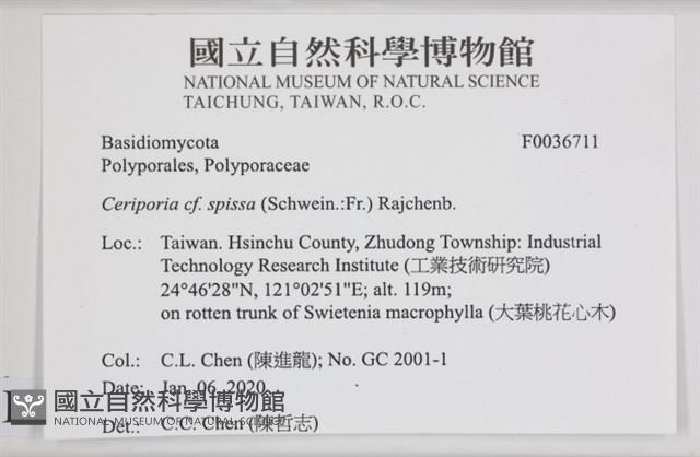 登錄號:F0036711藏品圖，第2張