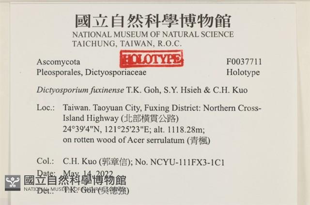 館號:F0037711藏品圖，第2張