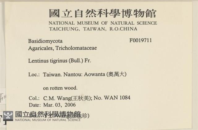 登錄號:F0019711藏品圖，第2張