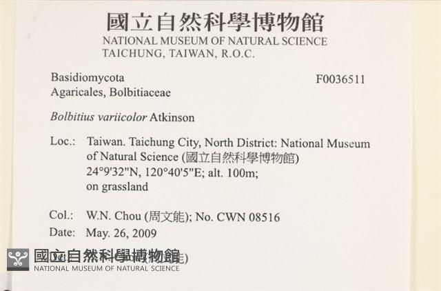 登錄號:F0036511藏品圖，第2張