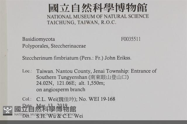 登錄號:F0035511藏品圖，第2張