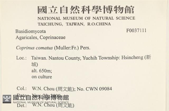 登錄號:F0037111藏品圖，第2張